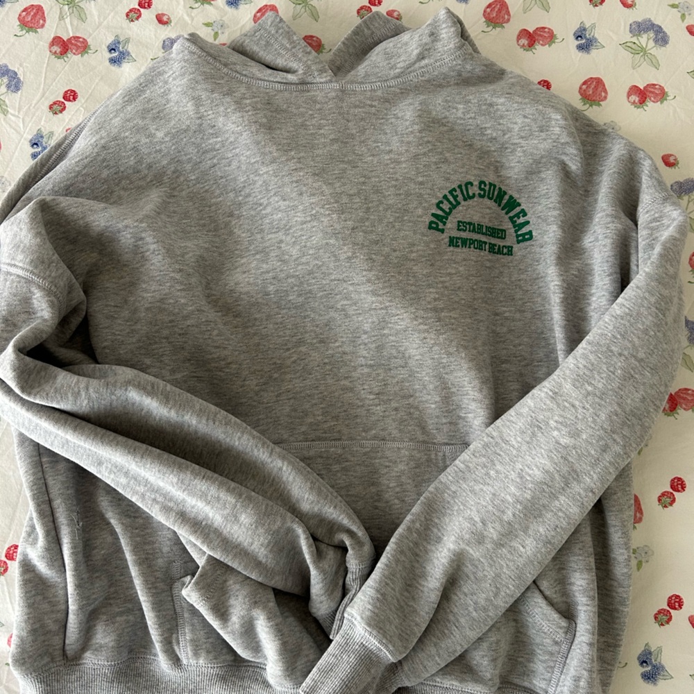 Pacsun Hoodie